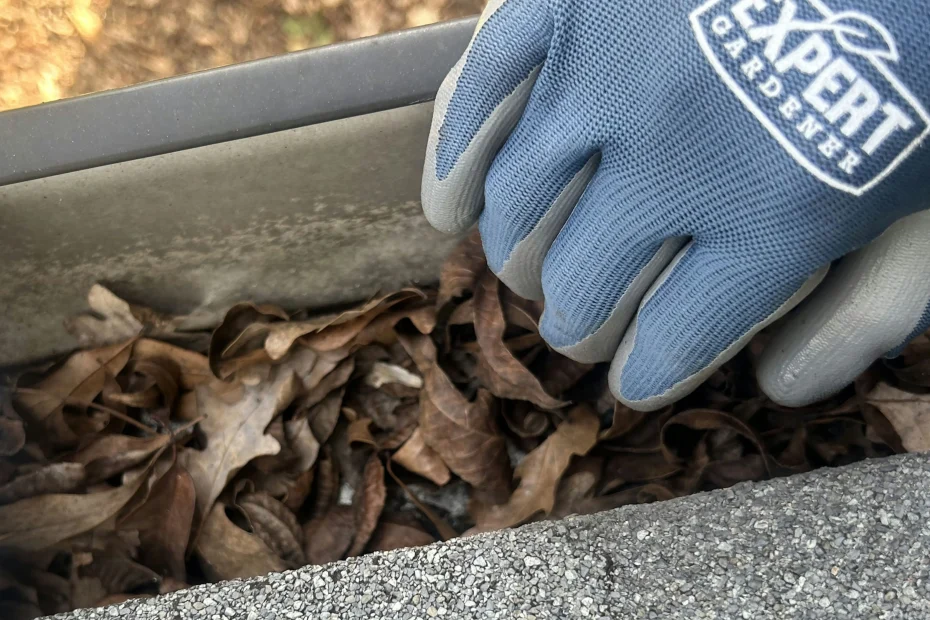 Gutter Cleaning James Island