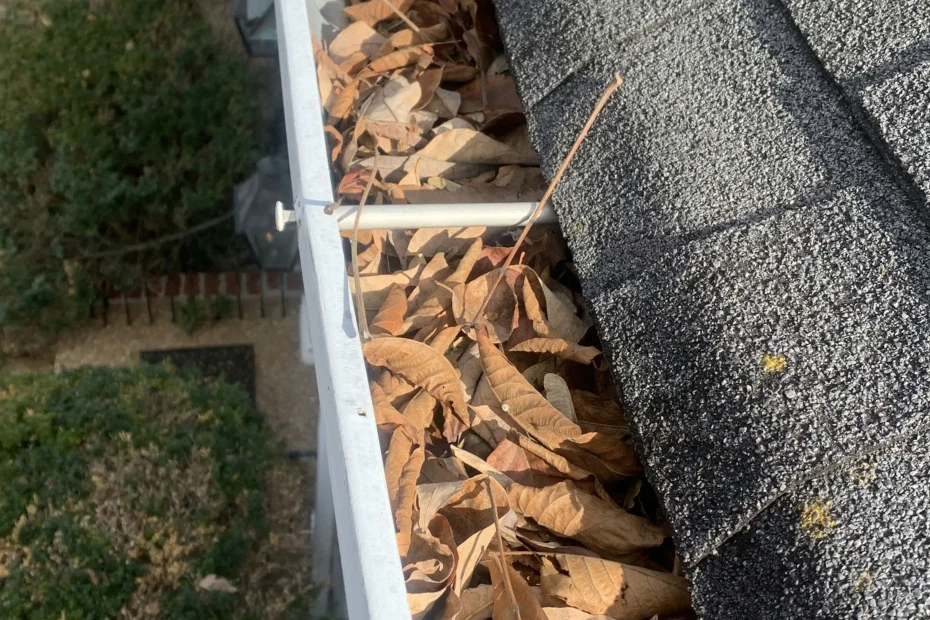 Gutter Cleaning James Island