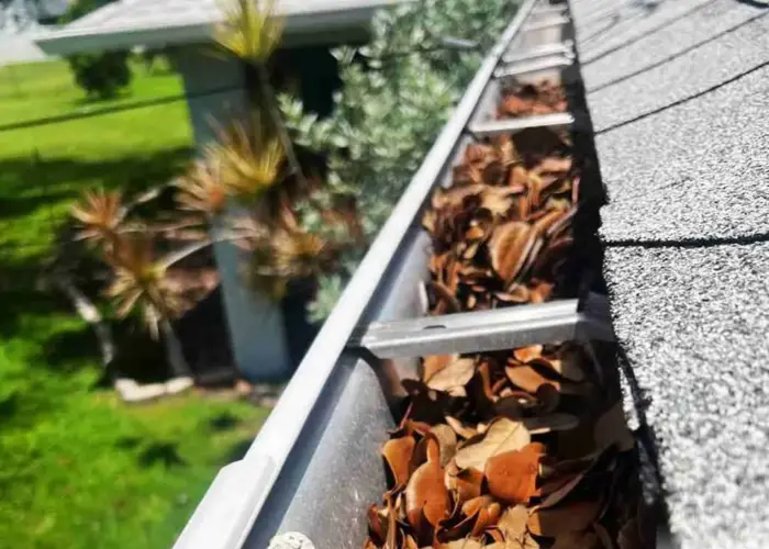 Gutter Cleaning James Island home page